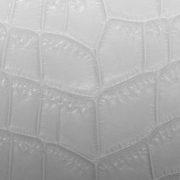 Leaf vein gradation Gray iPhone6s / iPhone6 Wallpaper