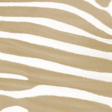 Zebra pattern yellow iPhone6s / iPhone6 Wallpaper
