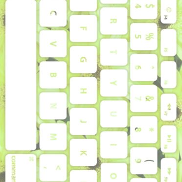 Flower keyboard Yellow-green white iPhone6s / iPhone6 Wallpaper