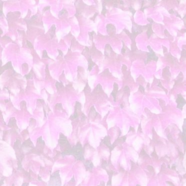 Leaf pattern Pink iPhone6s / iPhone6 Wallpaper