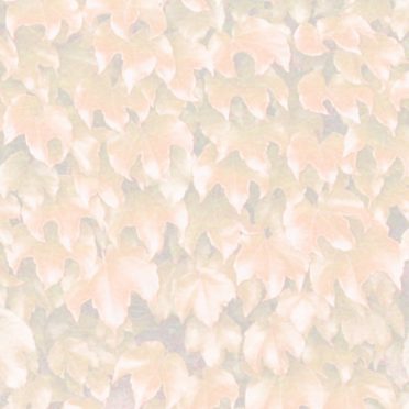 Leaf pattern orange iPhone6s / iPhone6 Wallpaper