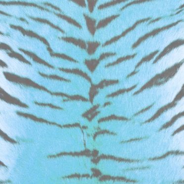 Fur pattern tiger Blue iPhone6s / iPhone6 Wallpaper