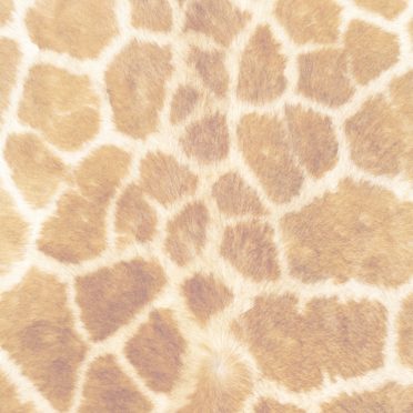 Fur pattern orange iPhone6s / iPhone6 Wallpaper