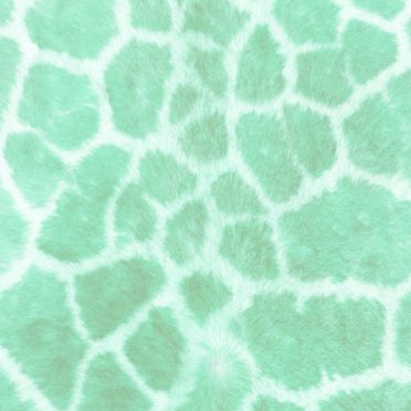 Fur pattern Blue green iPhone6s / iPhone6 Wallpaper