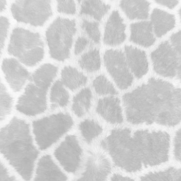 Fur pattern Gray iPhone6s / iPhone6 Wallpaper