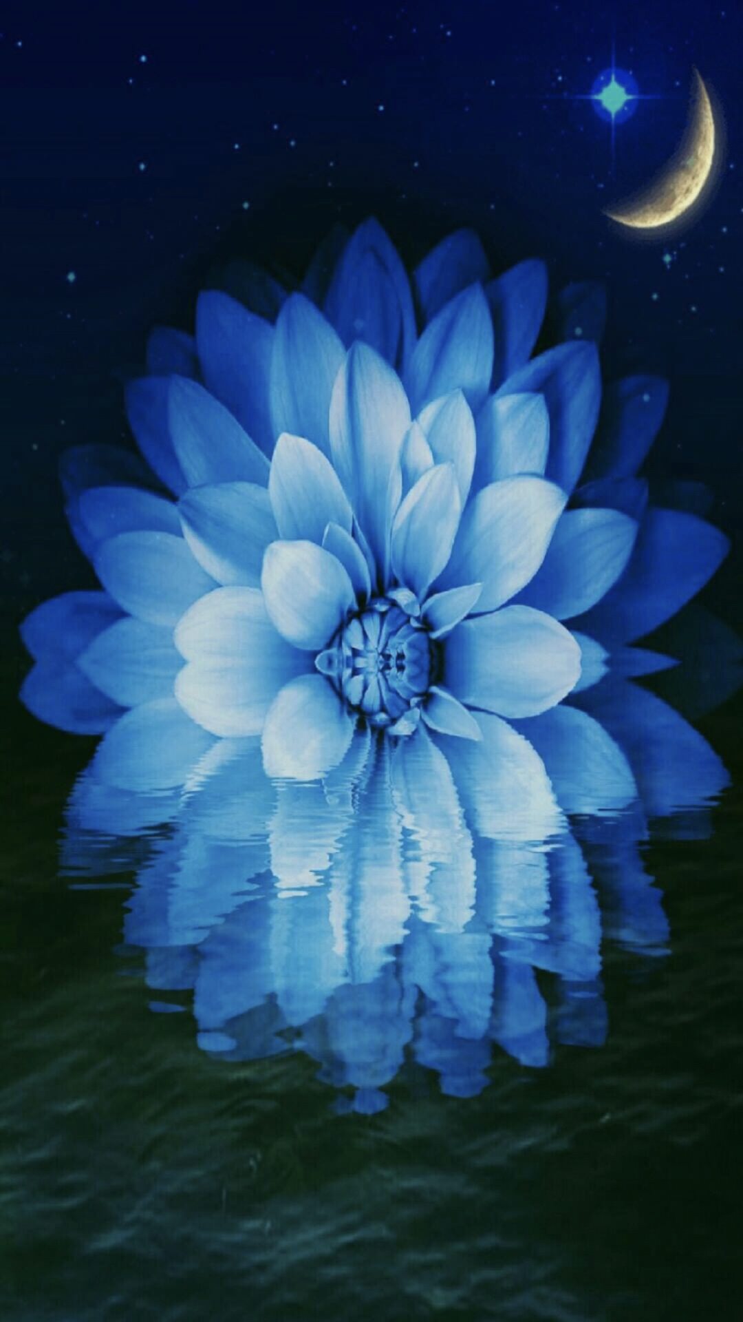 Flower moon | wallpaper.sc iPhone6sPlus