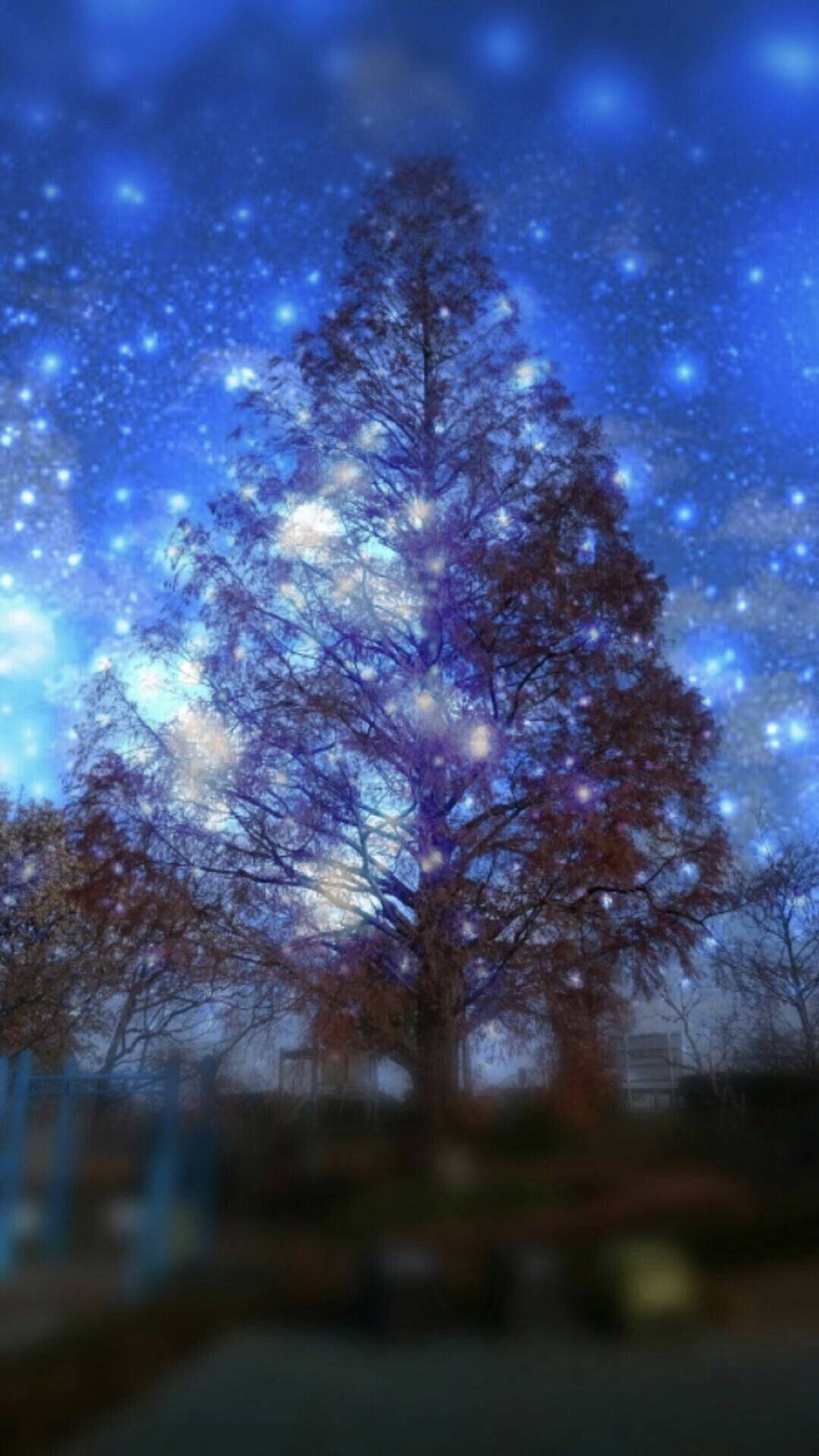 Tree night sky wallpaper.sc iPhone6sPlus