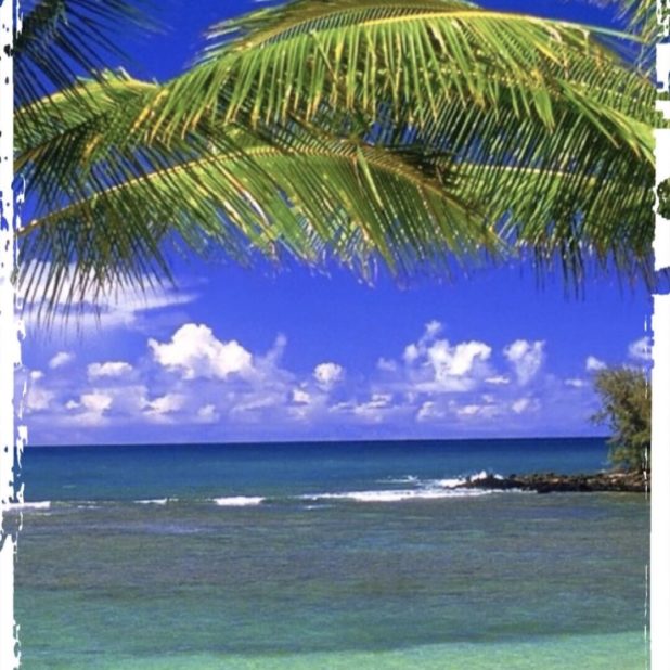 Beach Resort iPhone6s Plus / iPhone6 Plus Wallpaper