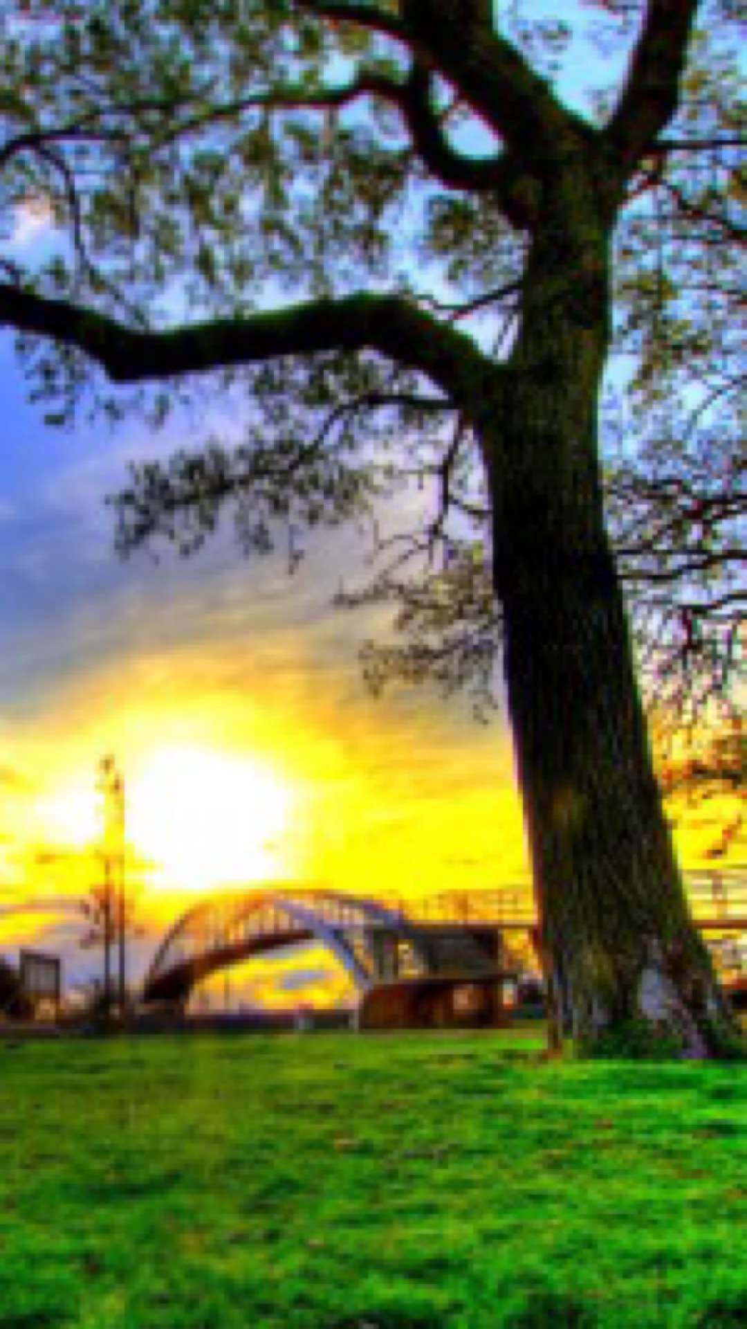 Tree Landscape | wallpaper.sc iPhone6sPlus