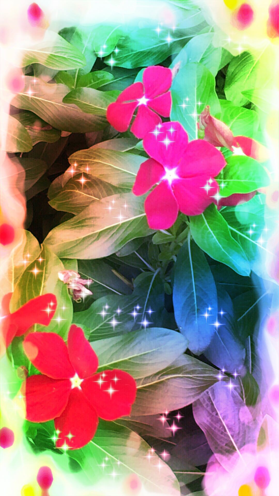 Flower light | wallpaper.sc iPhone6sPlus