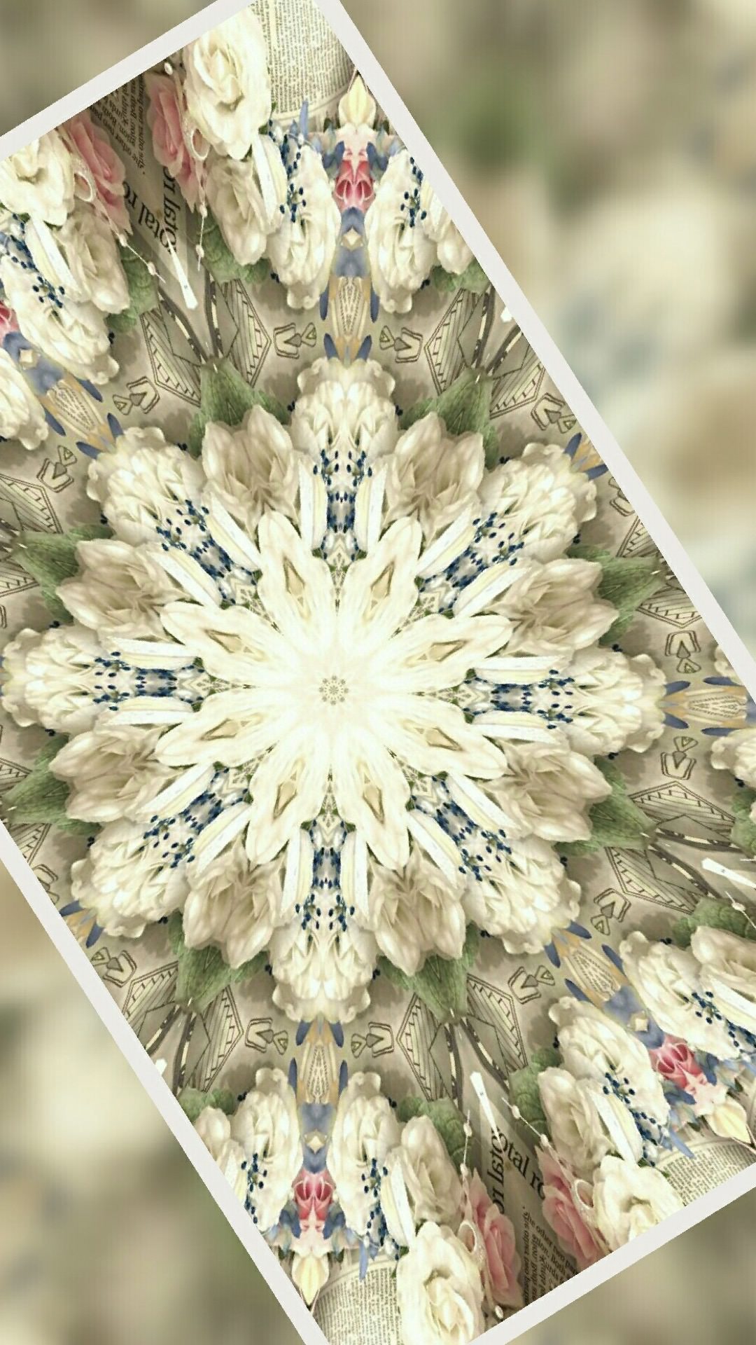 flower card wallpapersc iphone6splus