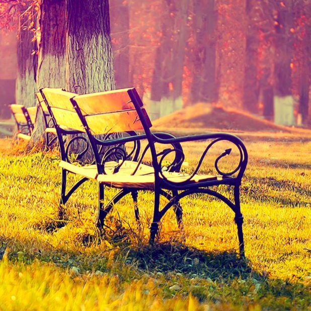 Landscape bench iPhone6s Plus / iPhone6 Plus Wallpaper