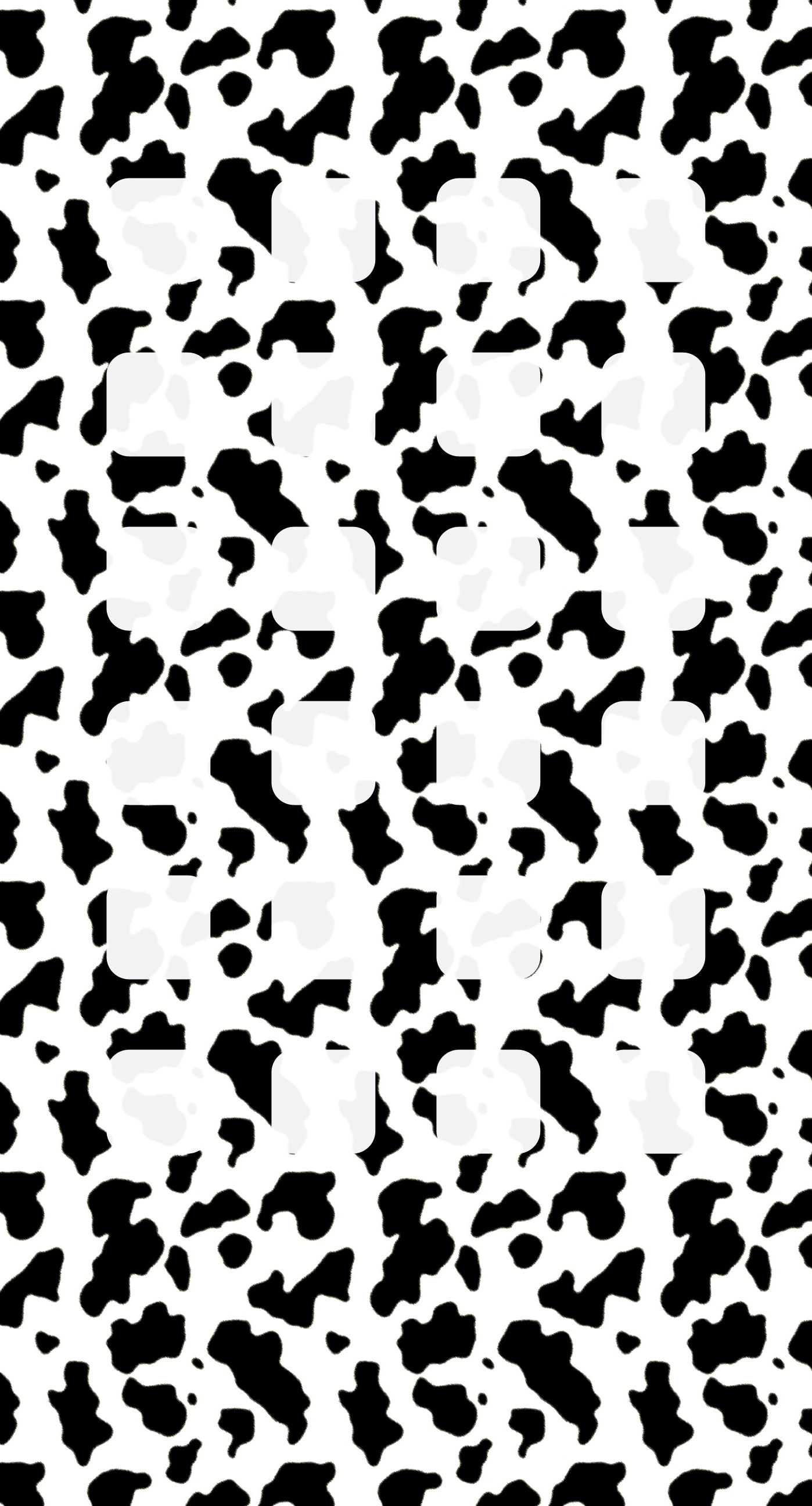 Black-and-white cow pattern shelf | wallpaper.sc iPhone6sPlus
