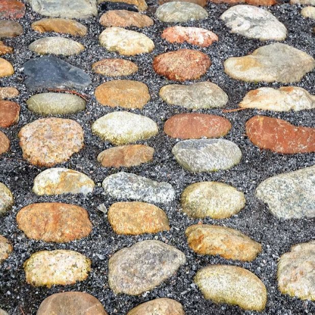 Landscape stone pavement iPhone6s Plus / iPhone6 Plus Wallpaper