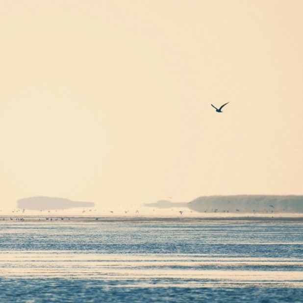 Air-sea landscape iPhone6s Plus / iPhone6 Plus Wallpaper