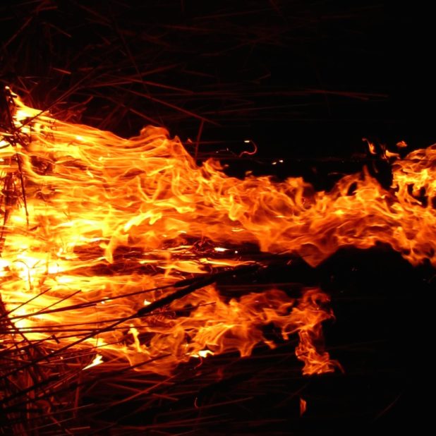Bonfire flame orange black iPhone6s Plus / iPhone6 Plus Wallpaper