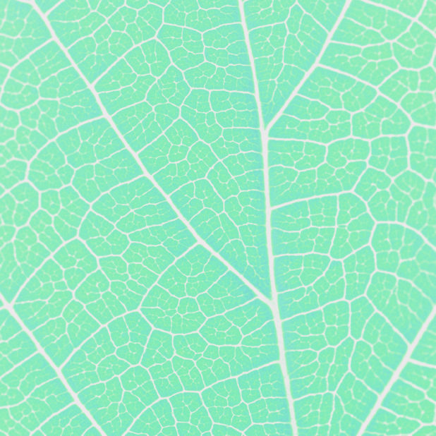 Pattern vein Blue green iPhone6s Plus / iPhone6 Plus Wallpaper