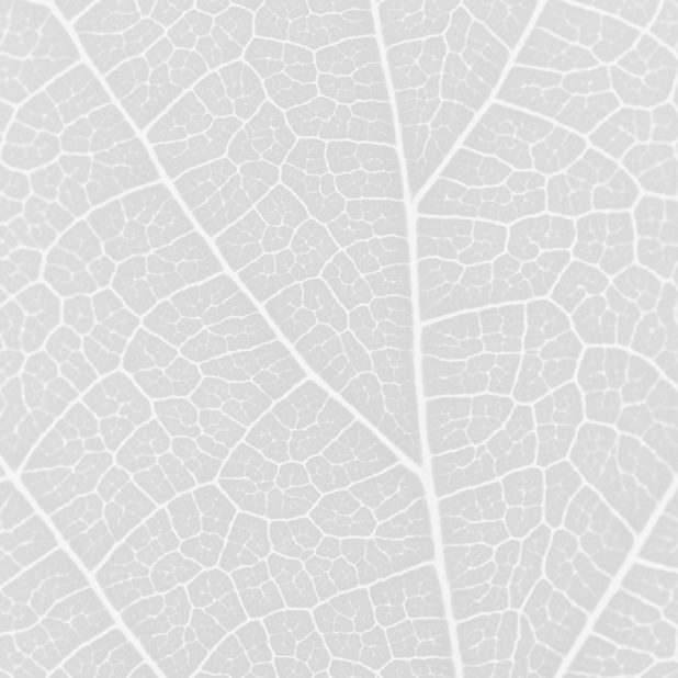 Pattern vein Gray iPhone6s Plus / iPhone6 Plus Wallpaper