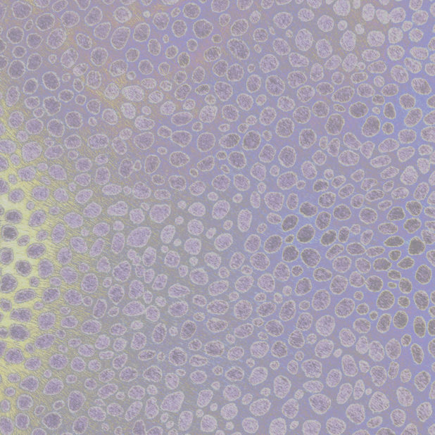 pattern Purple iPhone6s Plus / iPhone6 Plus Wallpaper