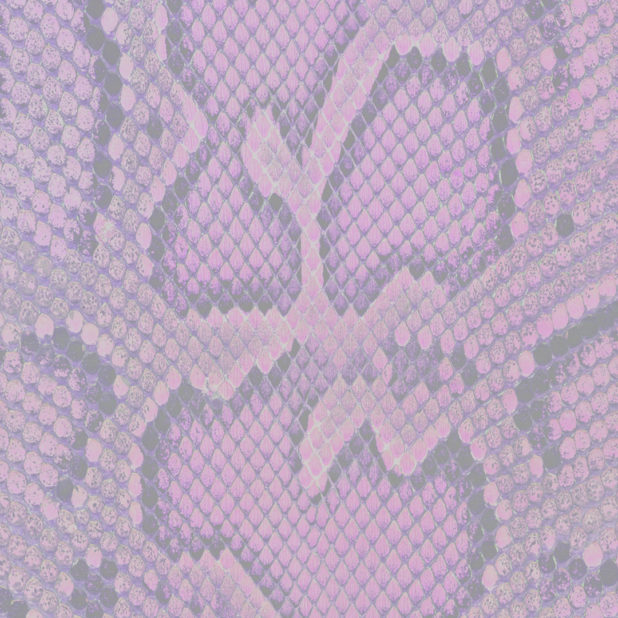 Python pattern Pink iPhone6s Plus / iPhone6 Plus Wallpaper