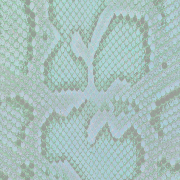 Python pattern Green iPhone6s Plus / iPhone6 Plus Wallpaper