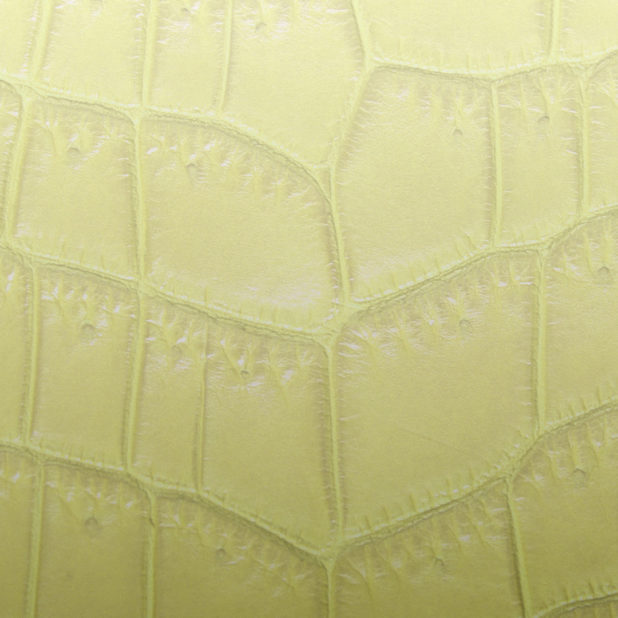 Leaf vein gradation yellow iPhone6s Plus / iPhone6 Plus Wallpaper