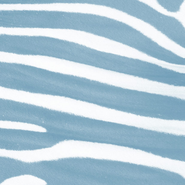 Zebra pattern Blue iPhone6s Plus / iPhone6 Plus Wallpaper