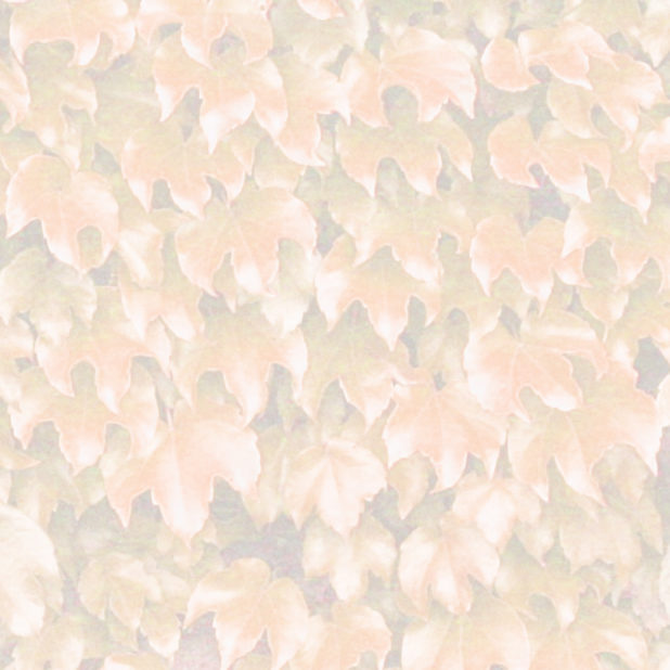 Leaf pattern orange iPhone6s Plus / iPhone6 Plus Wallpaper