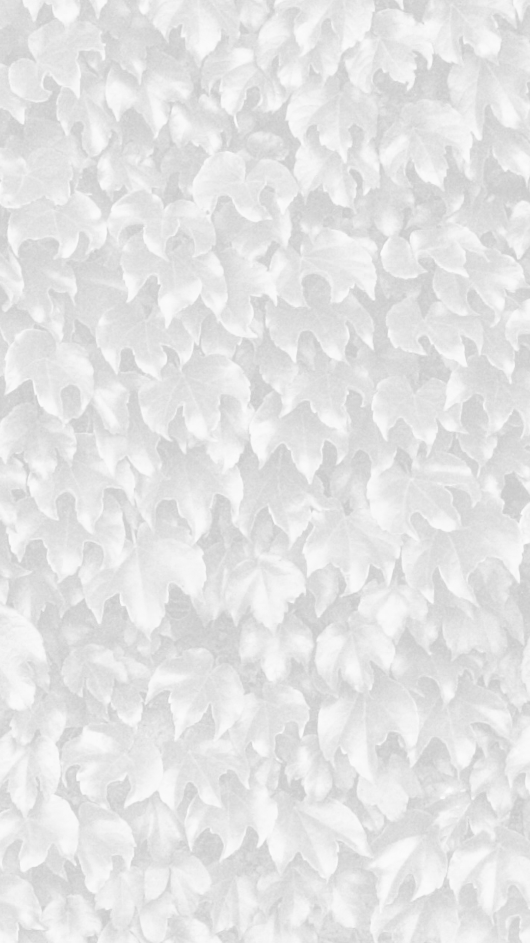 Leaf pattern Gray wallpaper.sc iPhone6sPlus