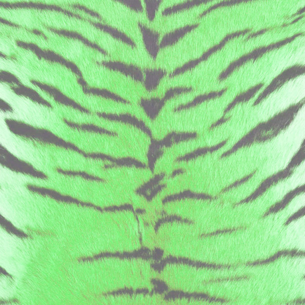 Fur pattern tiger Green iPhone6s Plus / iPhone6 Plus Wallpaper