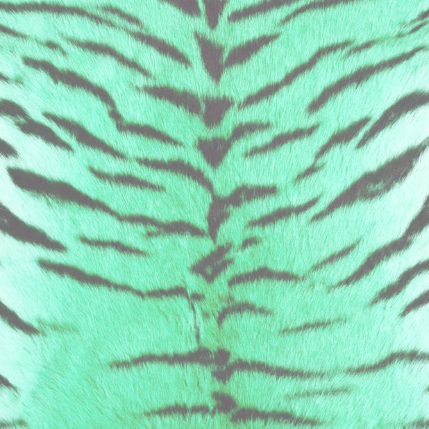 Fur pattern tiger Blue green iPhone6s Plus / iPhone6 Plus Wallpaper