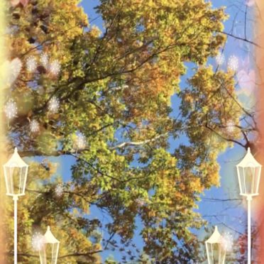 Street Tree Street Lamp iPhone7 Wallpaper