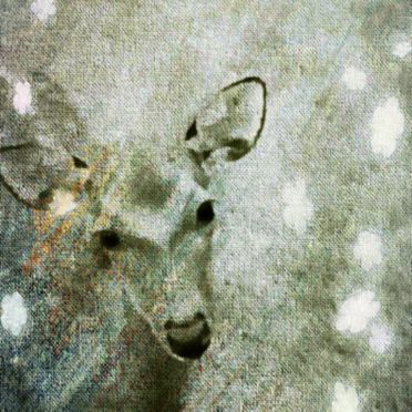 Deer animal iPhone7 Wallpaper