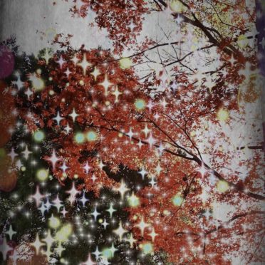 Autumn leaves light iPhone7 Wallpaper