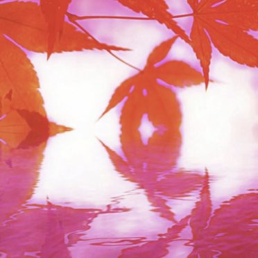 Autumn leaves lake iPhone7 Wallpaper
