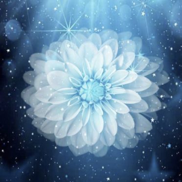 Flower Space iPhone7 Wallpaper