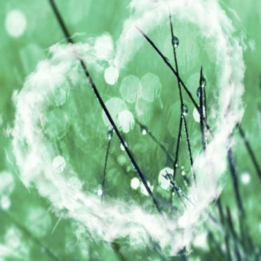 Heart Green iPhone7 Wallpaper