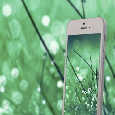 smartphone green iPhone7 Wallpaper