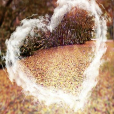 Fallen Leaves Heart iPhone7 Wallpaper