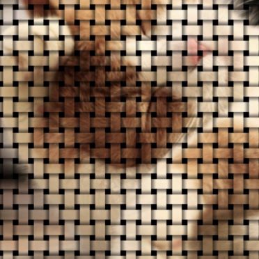 Cat mesh iPhone7 Wallpaper