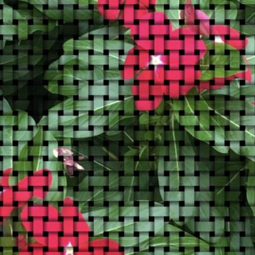 Flower mesh iPhone7 Wallpaper
