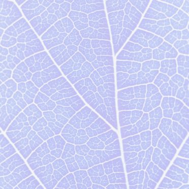 Pattern vein Blue purple iPhone7 Wallpaper