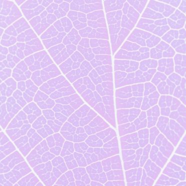 Pattern vein Purple iPhone7 Wallpaper