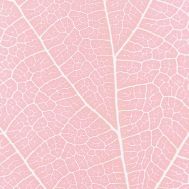 Pattern vein Red iPhone7 Wallpaper