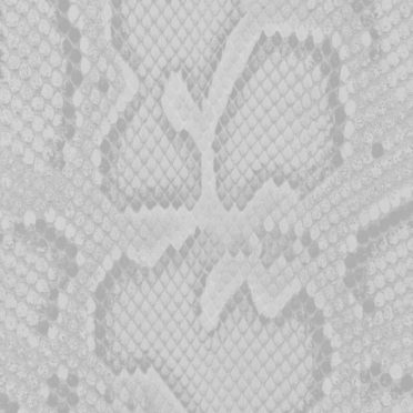 Python pattern Gray iPhone7 Wallpaper