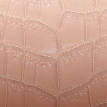 Leaf vein gradation Brown iPhone7 Wallpaper