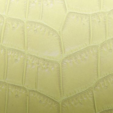 Leaf vein gradation yellow iPhone7 Wallpaper