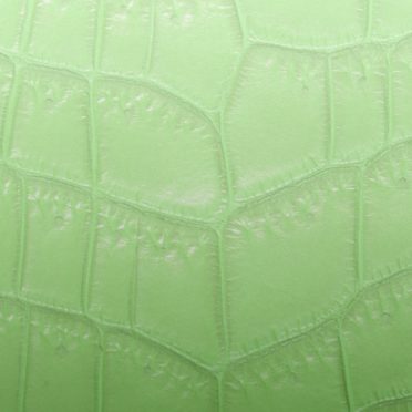 Leaf vein gradation Yellow green iPhone7 Wallpaper