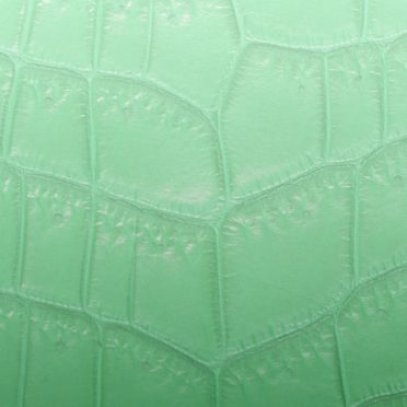 Leaf vein gradation Green iPhone7 Wallpaper