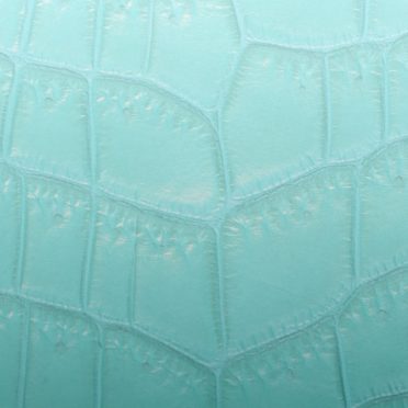 Leaf vein gradation light blue iPhone7 Wallpaper